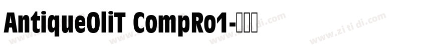 AntiqueOliT CompRo1字体转换